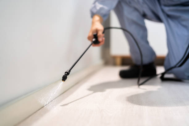 Professional exterminator conducting IPM assessment in Monrovia